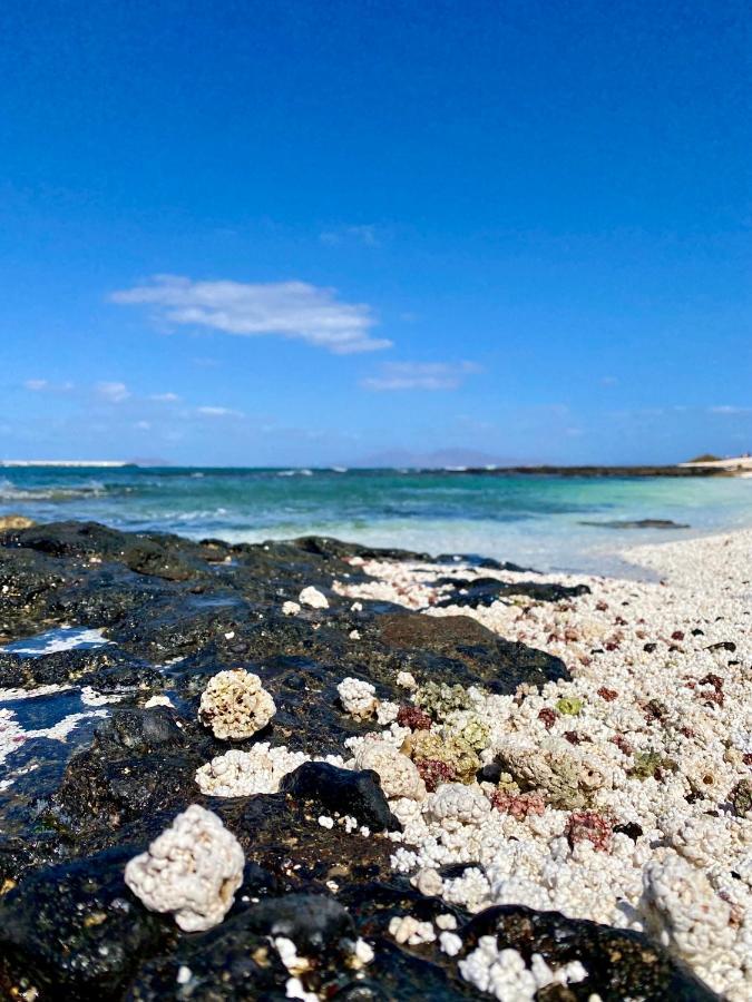 Apartamento San Valentin, Corralejo Lejlighed Eksteriør billede