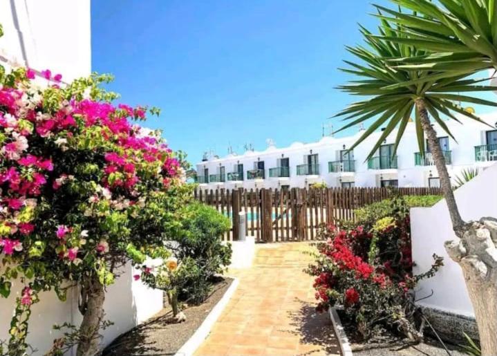 Apartamento San Valentin, Corralejo Lejlighed Eksteriør billede